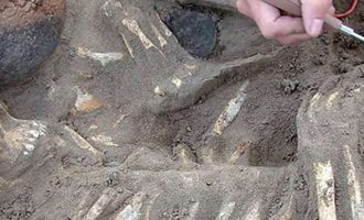 Απίστευτη ανακάλυψη στη Σιβηρία: Tι βρέθηκε σε τάφο με γυναικείο σκελετό (βίντεο)