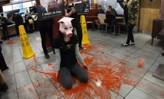 Δικάζεται 24χρονη βίγκαν που έκανε το… γουρούνι στα McDonald’s