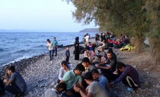 H Ύπατη Αρμοστεία του ΟΗΕ βάζει «πάγο» στην απόφαση της ελληνικής κυβέρνησης για αναστολή αιτήσεων ασύλου