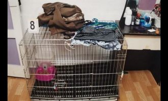 Φρίκη: Eίχαν κλείσει σε κλουβί για γάτες τον 5χρονο γιο τους και τον ζεμάτισαν