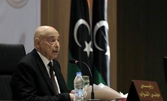 Στην Κύπρο ο πρόεδρος της λιβυκής Βουλής Ακίλα Σάλεχ συνοδευόμενος από Λίβυους βουλευτές