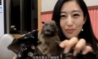 Κοροναϊός: Όμορφες Κινέζες μας δείχνουν πώς τρώνε τη νυχτερίδα (βίντεο)