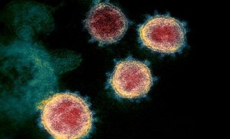 Καθηγητής Μικροβιολογίας: Ο κοροναϊός στο 99% είναι μια απλή γρίπη