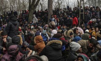 Διεθνής Οργανισμός Μετανάστευσης: 13.000 έχουν συγκεντρωθεί κατά μήκος των συνόρων Τουρκίας-Ελλάδας