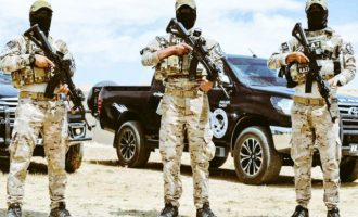 Οι Κούρδοι (SDF) συνέλαβαν οπλαρχηγό ασφαλείας του Ισλαμικού Κράτους στην αν. Συρία