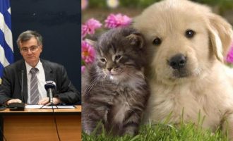 Τσιόδρας: Δεν υπάρχει κίνδυνος μετάδοσης κοροναϊού στους ανθρώπους από γάτες και σκύλους