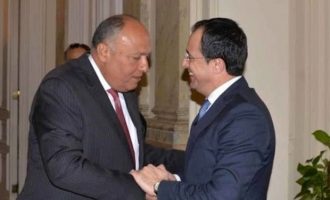 Η Κύπρος υποστηρίζει την Αίγυπτο στην επίλυση της λιβυκής κρίσης