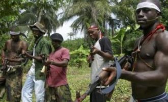 Νιγηρία: Για κάθε όπλο που θα παραδίδουν οι ληστές θα παίρνουν δύο αγελάδες