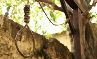 Σύρος: 59χρονη βρέθηκε κρεμασμένη σε δέντρο