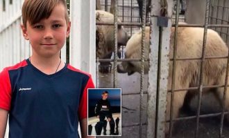 Φρίκη: Αρκούδες κατασπάραξαν 11χρονο μπροστά σε δύο φίλες του