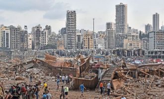 Έκρηξη Βηρυτός: Υπέκυψε στα τραύματά της η σύζυγος του Ολλανδού πρεσβευτή