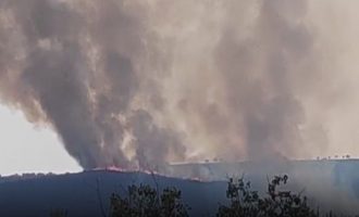 Μεγάλη φωτιά στην περιοχή Λυκάλωνα Κάντιας του Δήμου Ναυπλιέων