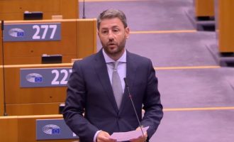 Ανδρουλάκης: Να δοθεί το όνομα Ανδρέα Παπανδρέου σε αίθουσα του Ευρωπαϊκού Κοινοβουλίου