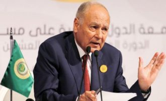 Επικεφαλής Αραβικού Συνδέσμου: Δεν θα τελειώσουν καλά Τουρκία και Ερντογάν