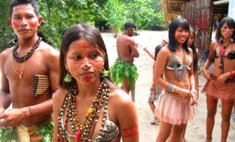 Οι Ινδιάνοι στον Αμαζόνιο φοβούνται ότι εάν εμβολιαστούν θα μεταμορφωθούν σε κροκόδειλους – Ποιοι το διαδίδουν