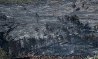 Σε ύφεση η πυρκαγιά στα Γεράνεια Όρη – Μεγάλη η καταστροφή στην Αν. Κορινθία