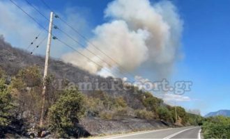 Φωτιά απειλεί σπίτια στη Μακρακώμη – Έκλεισε η εθνική οδός Λαμίας-Καρπενησίου