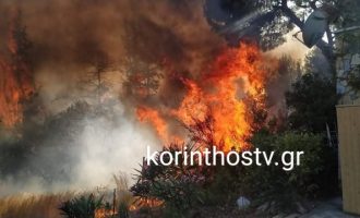 Επικίνδυνη η φωτιά στα Ίσθμια Κορινθίας – Κοντά σε σπίτια οι φλόγες