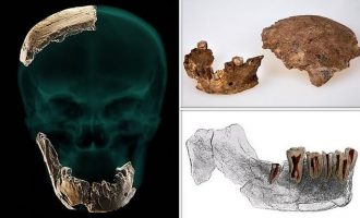 Άγνωστος έως τώρα Homo, ο Nesher Ramla, ανακαλύφθηκε στο Ισραήλ