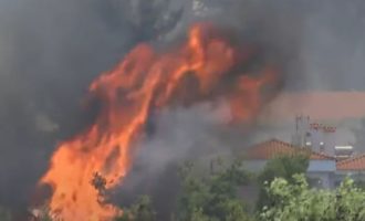 Δήμαρχος: Η φωτιά στη Σταμάτα πέρασε μέσα από τα σπίτια
