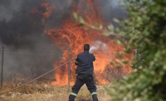 Πάτρα: Τουλάχιστον 5 σπίτια κάηκαν στην Ελεκίστρα – Σε εξέλιξη η φωτιά στη Δροσιά