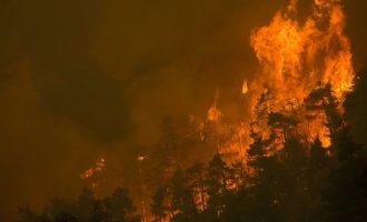 Μήνυμα από το 112: Ακραίος κίνδυνος πυρκαγιάς την Κυριακή σε Αττική και Εύβοια
