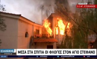 Φωτιά στην Αττική: Καίγονται σπίτια στον Άγιο Στέφανο (βίντεο)