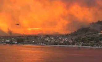 Εύβοια: Φωτιά στην περιοχή Δάφνη – Eντολή εκκένωσης του χωριού Σκεπαστή