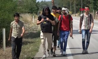 Αφγανοί συρρέουν στον Έβρο ύστερα από ψευδείς ειδήσεις ότι άνοιξαν τα σύνορα (βίντεο)