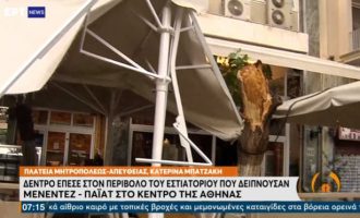 Δέντρο έπεσε στον περίβολο εστιατορίου όπου δειπνούσαν Μενέντεζ-Πάιατ – Δύο τραυματίες