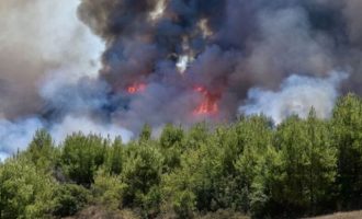 Φωτιά στην Ελαία Φωκίδας: Δόθηκε εντολή εκκένωσης