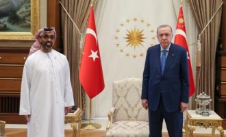 Ο Ερντογάν δήλωσε ότι τα Ηνωμένα Αραβικά Εμιράτα θα κάνουν σοβαρές επενδύσεις στην Τουρκία σύντομα
