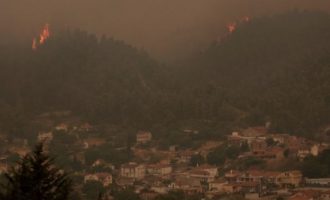 Δήμαρχος Ιστιαίας: «Το ολοκαύτωμα θα γίνει εξαφάνιση» – Σε λίγο δεν θα έχουμε καύσιμα ούτε για τα πυροσβεστικά