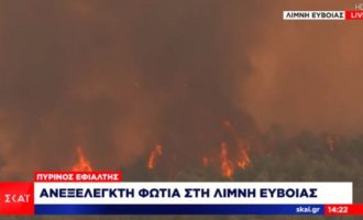 Ανεξέλεγκτη μαίνεται η πυρκαγιά στη Λίμνη Ευβοίας