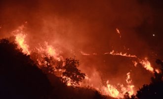 Μαίνεται η μεγάλη πυρκαγιά στα σύνορα Αχαΐας-Ηλείας – Εκκενώθηκαν τα χωριά Βάλμη και Αγραπιδοχώρι