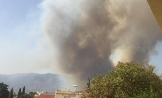 Φωτιά Αθήνα: Καίγονται κτίρια – Εκκενώνεται η Βαρυμπόμπη