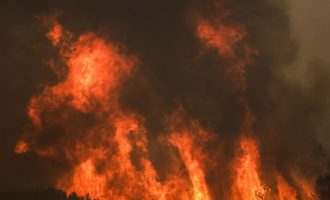 Στο χωριό Κλαδέος της Αρχαίας Ολυμπίας 150 κάτοικοι κυκλωμένοι από τη φωτιά – Εκλιπαρούν για σωτηρία