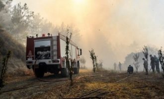 Φωτιά στη Φθιώτιδα: Προληπτική εκκένωση του χωριού Λογγίτσι
