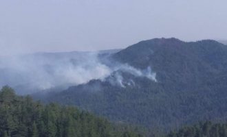 Αναζωπυρώθηκαν οι φωτιές στην Κοζάνη
