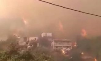 Φωτιά Μεσσηνία: Καίγονται σπίτια στο χωριό Καρνάσι