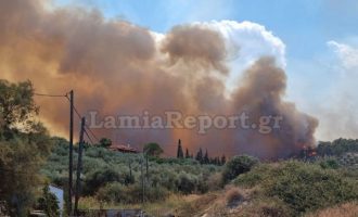 Φωτιά Φθιώτιδα: Κάηκαν σπίτια στον Θεολόγο