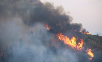 Πυρκαγιά στο Νταού Πεντέλης – Φόβοι για επέκταση σε κατοικημένες περιοχές – Μήνυμα από το 112