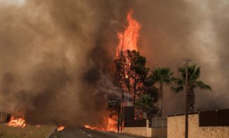 Φωτιά στη Βαρυμπόμπη: Κίνδυνος μπλακ άουτ στην Ανατολική Αττική