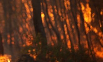 Φωτιές: Στην Κέρκυρα, στο Αίγιο, στην Κάρυστο και στην Υλίκη τα ενεργά μέτωπα – Σε ύφεση η πυρκαγιά στη Ρόδο