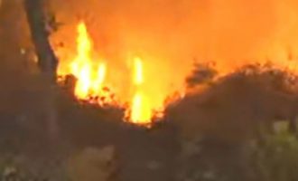 Εύβοια: Μεγάλη πυρκαγιά στα Ψαχνά