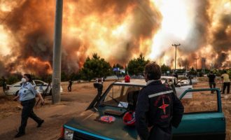 Δήμαρχος Διονύσου: Στο Κρυονέρι καίγονται σπίτια – Έκκληση για εναέρια μέσα