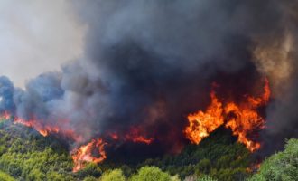 52 δασικές πυρκαγιές καίνε στην Ελλάδα το τελευταίο 24άωρο – Πολύ υψηλός ο κίνδυνος και την Τρίτη