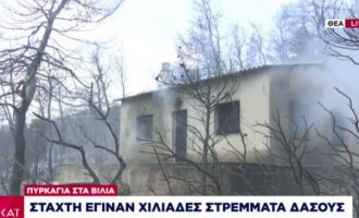 Βίλια: Ανεξέλεγκτη η πυρκαγιά – Έκαψε σπίτια και αποθήκες