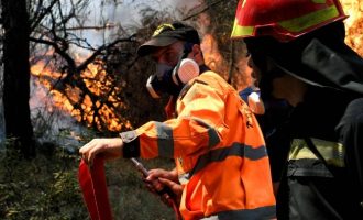 Φωτιά στη Ρόδο: Χωρίς ηλεκτρικό ρεύμα – Εκκενώθηκαν περιοχές – Μήνυμα από το 112