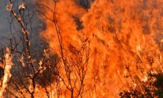 Επιχείρησε να βάλει φωτιά κοντά σε σπίτια στη Λάρισα – Συνελήφθη επ’ αυτοφώρω